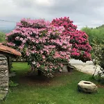 Ma Maison Art Tatil Evi