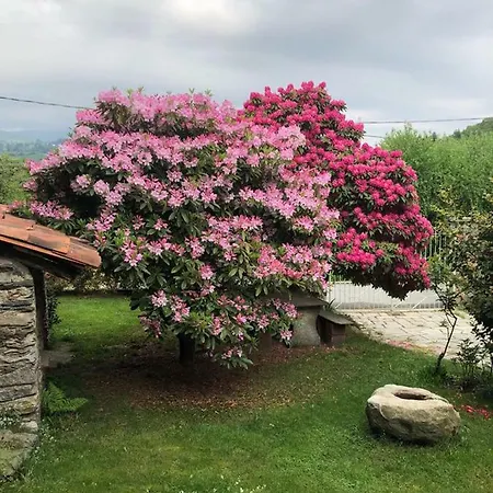 Ma Maison Art Ferienhaus