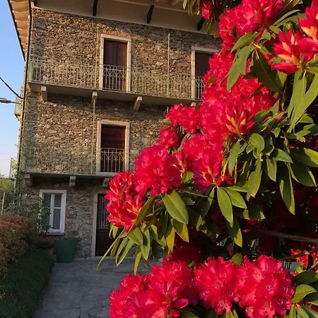 Ma Maison Art