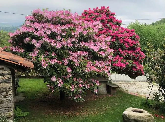 Ma Maison Art Hébergement de vacances